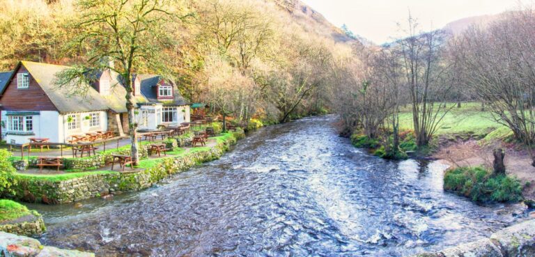 13270 scaled 768x369