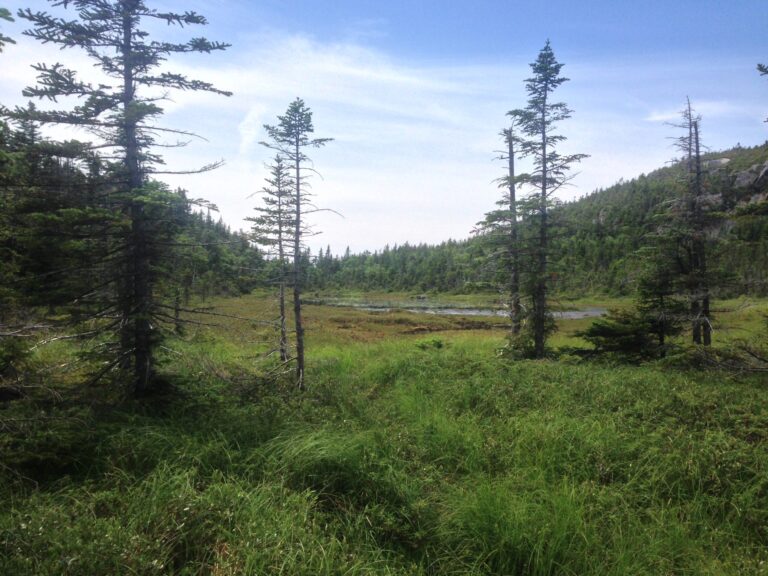 13599 scaled 768x576