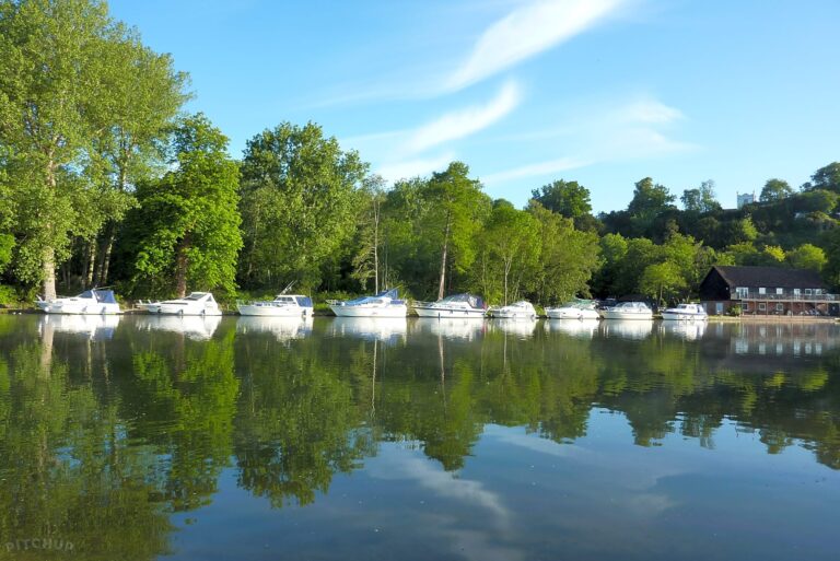 13663 scaled 768x513