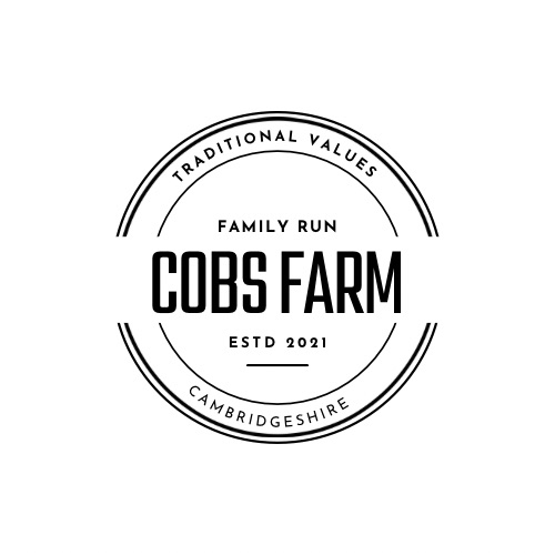 461834772 10169594171125274 2633894797013317409 n