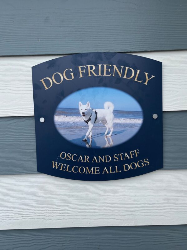 IMG 2056 1 rotated 1 600x800