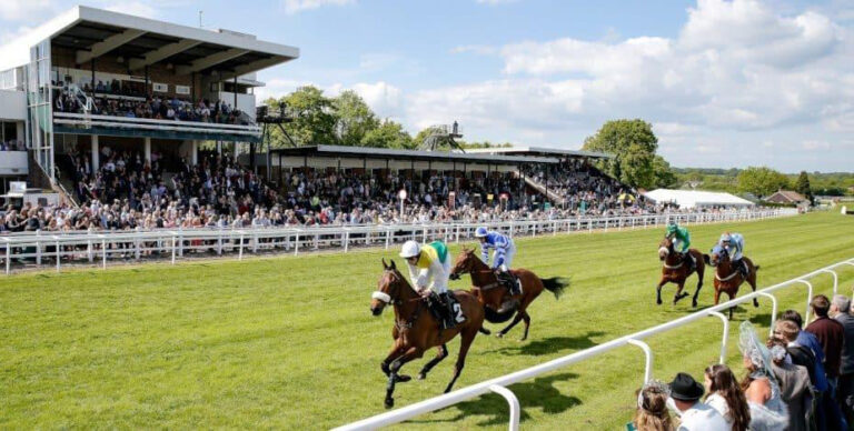 Plumpton Raceday 768x388